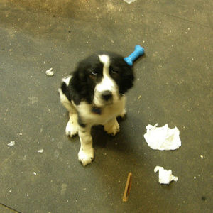 Meet your Posher, Elisabeth